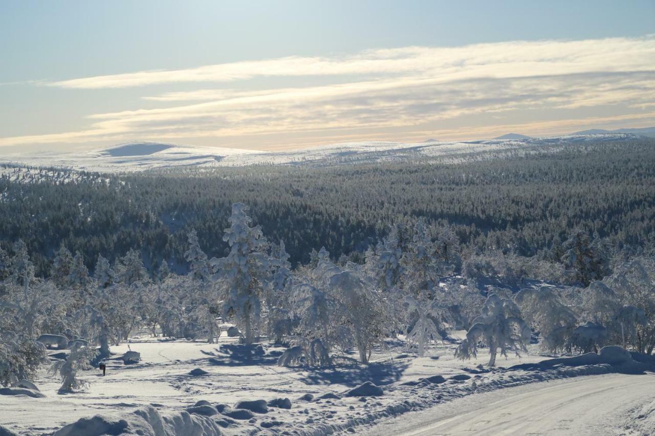 Polaris Homes For You Rovaniemi Eksteriør bilde